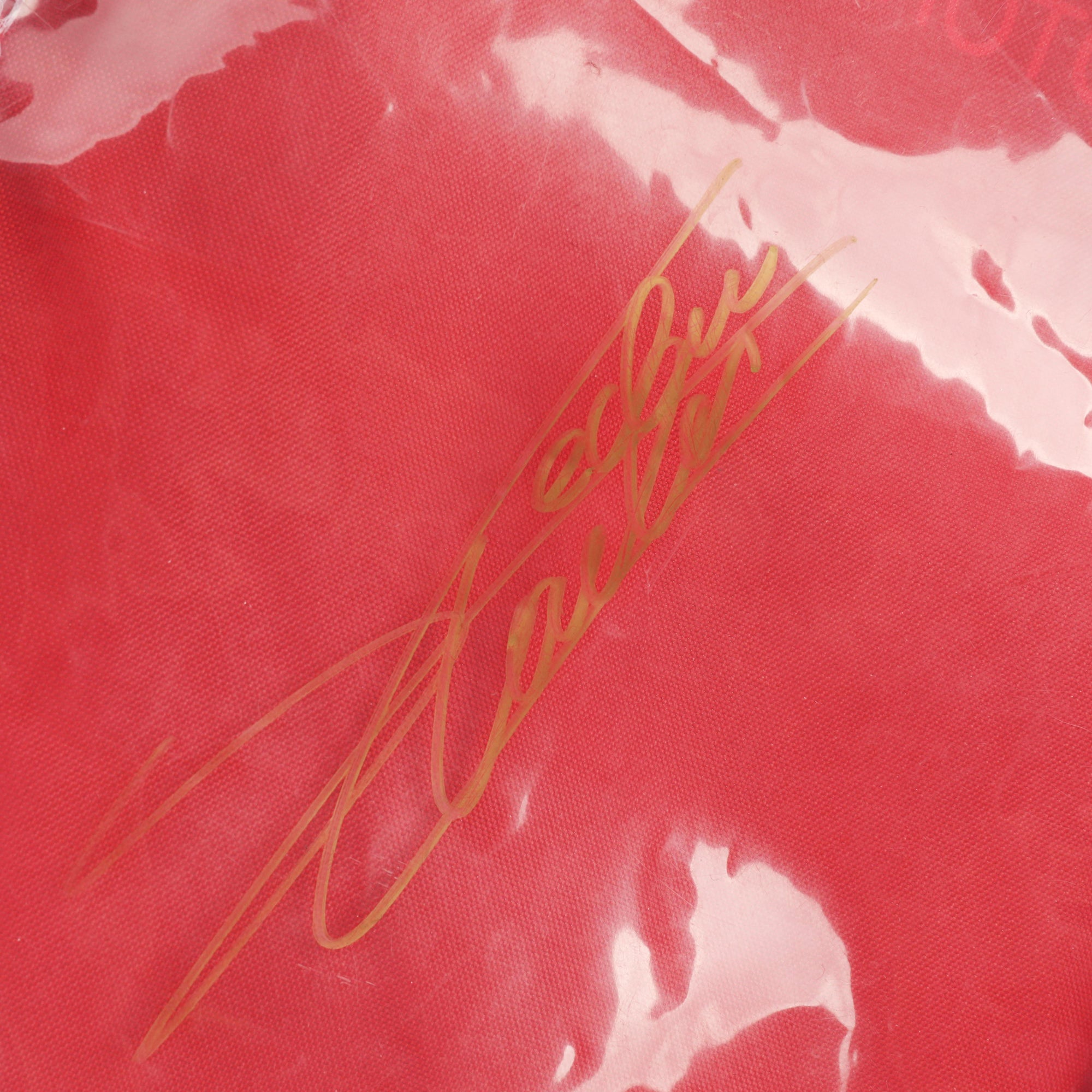 Charles Leclerc 2019 Signed (Bag Only) Gloves