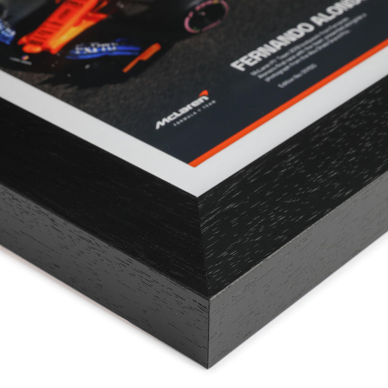 Fernando Alonso 2018 McLaren Bodywork and Photo