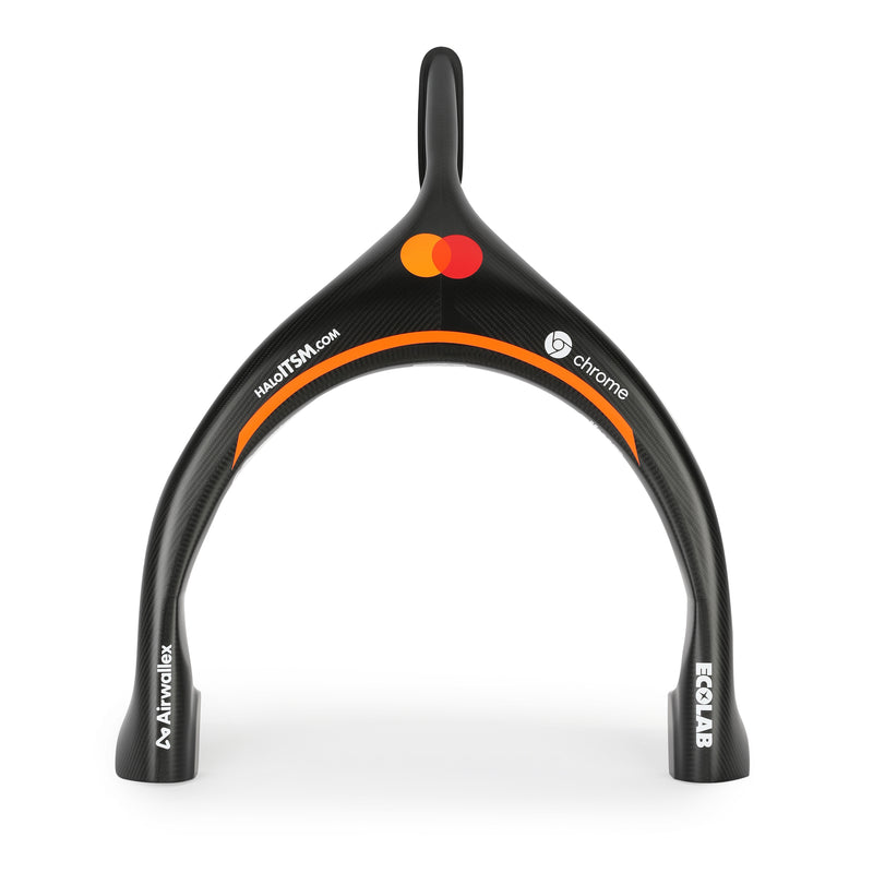 McLaren F1 Team 2025 Halo