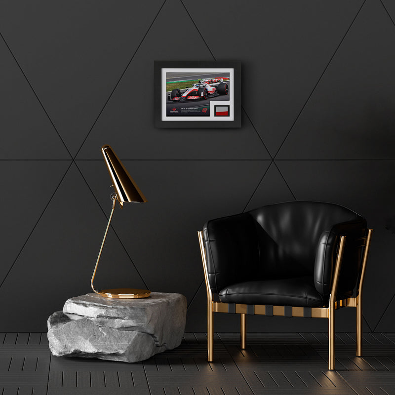 Mick Schumacher 2022 Bodywork & Photo