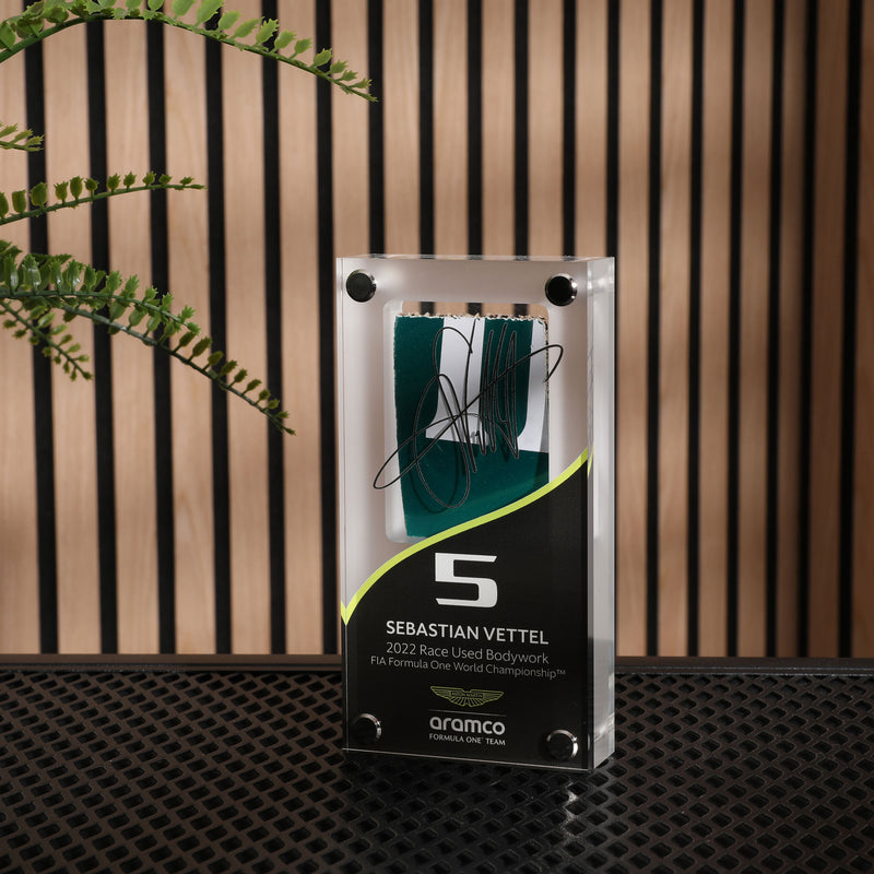 Sebastian Vettel 2022 Bodywork in Acrylic