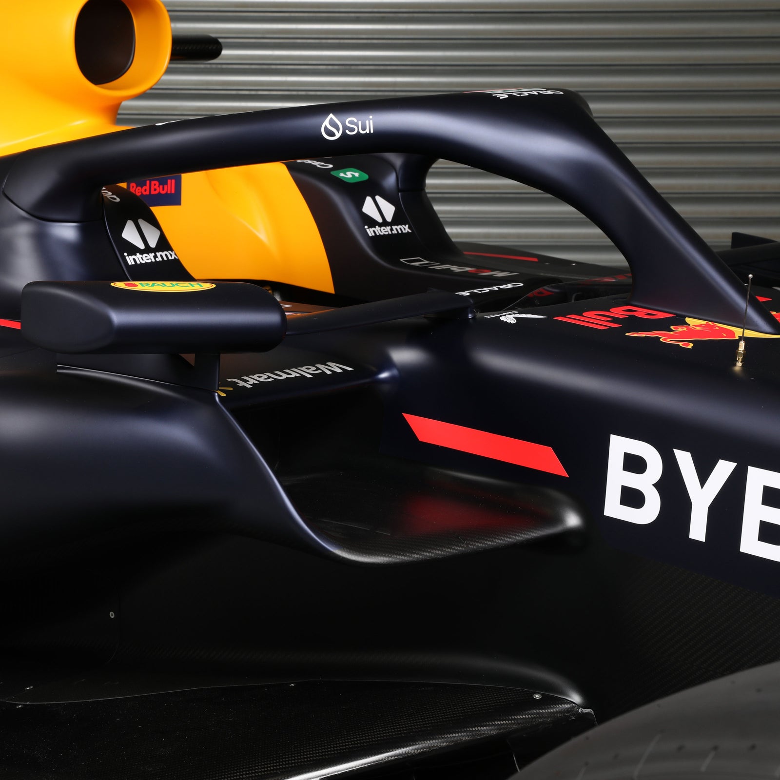 Official Oracle Red Bull Racing 2023 RB19 Show Car