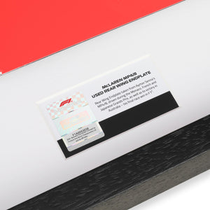 LOT 145 - Ayrton Senna 1993 Grand Prix Used McLaren Lefthand Rear Wing Endplate - MK.1 R1 8A-0915D #8