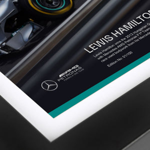 Authentic 2013 Lewis Hamilton Hungarian Grand Prix 'First Win' Formula 1 bodywork and photo, premium race-used collector memorabilia