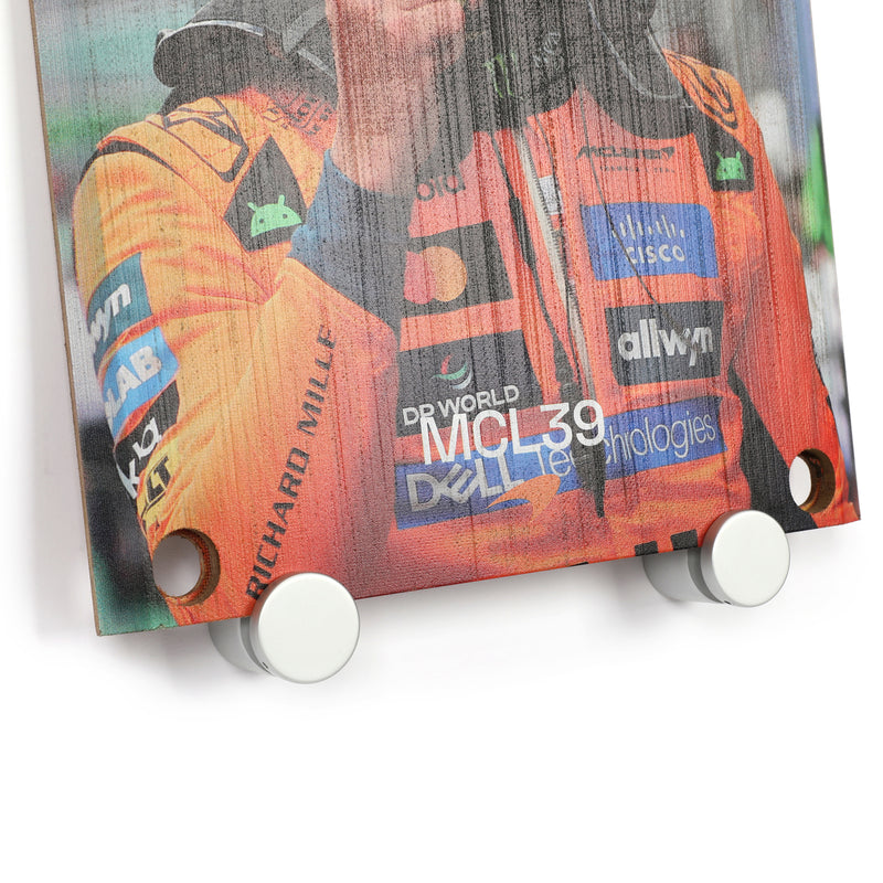 Lando Norris 2025 McLaren Practice Used Front Skid Plank Wall Art - Brazil GP