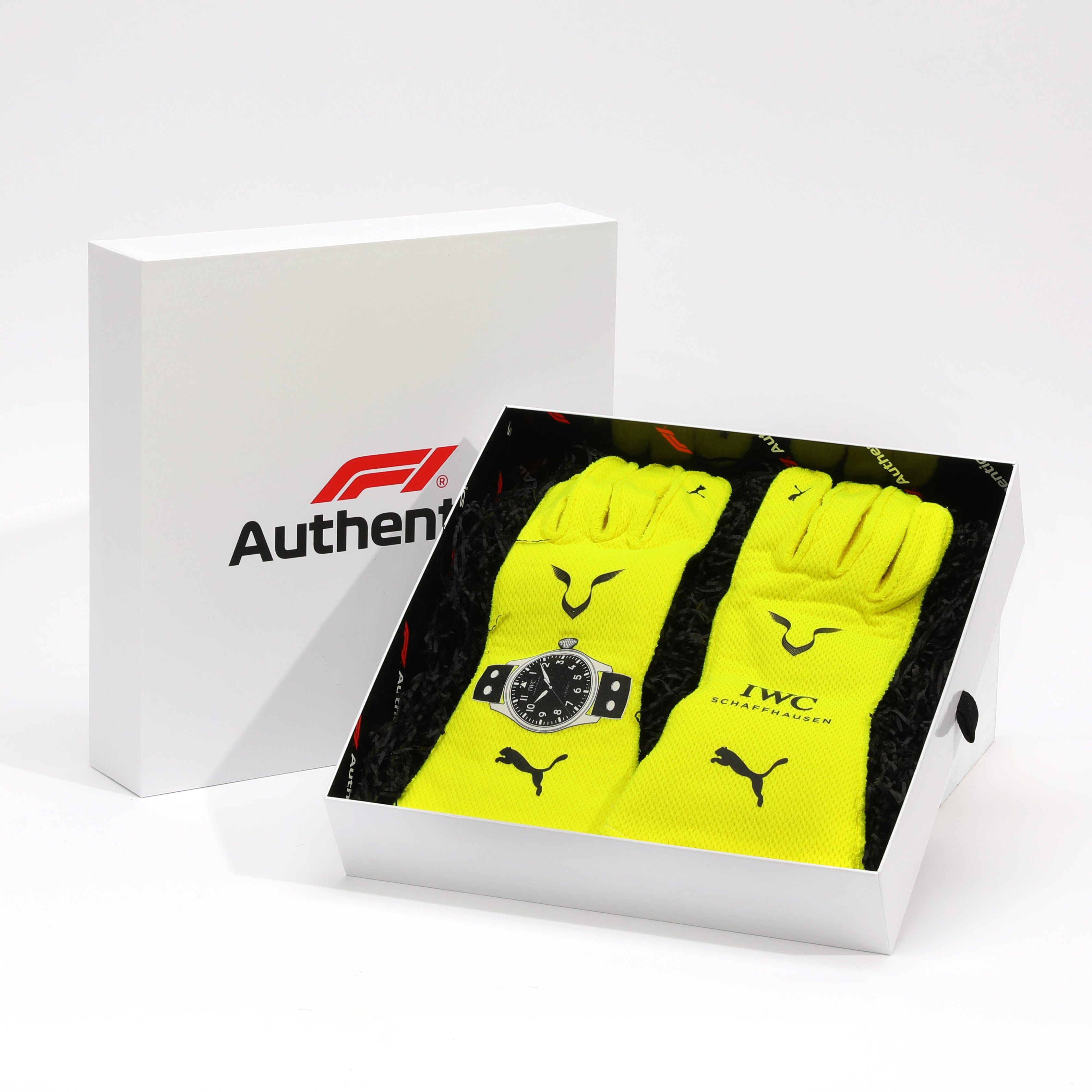 Lewis Hamilton 2024 Mercedes AMG Petronas Replica Race Gloves