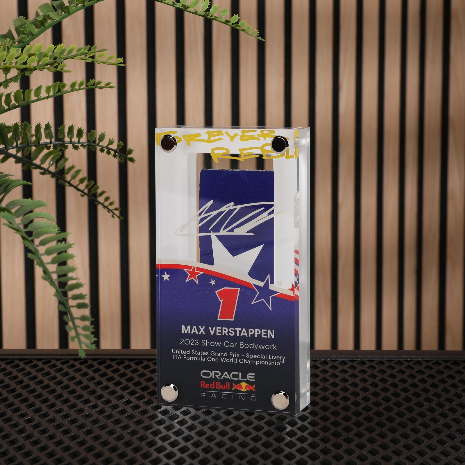 Max Verstappen 2023 Oracle Red Bull Racing Show Car Bodywork in Acrylic - US GP