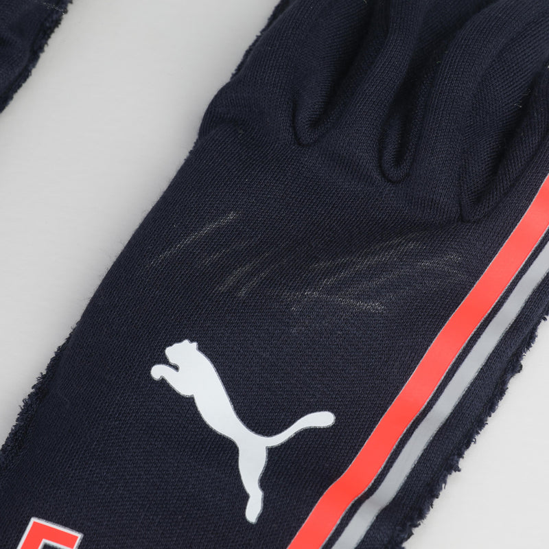 Max Verstappen Signed Red Bull Racing Grand Prix Used Gloves