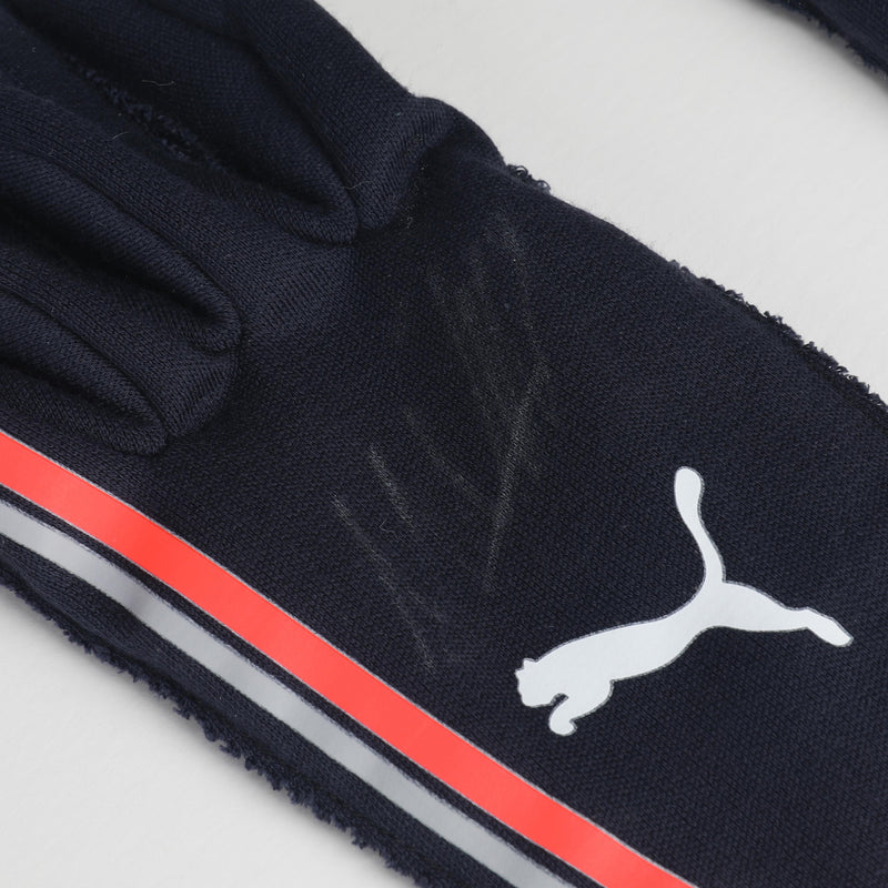 Max Verstappen Signed Red Bull Racing Grand Prix Used Gloves