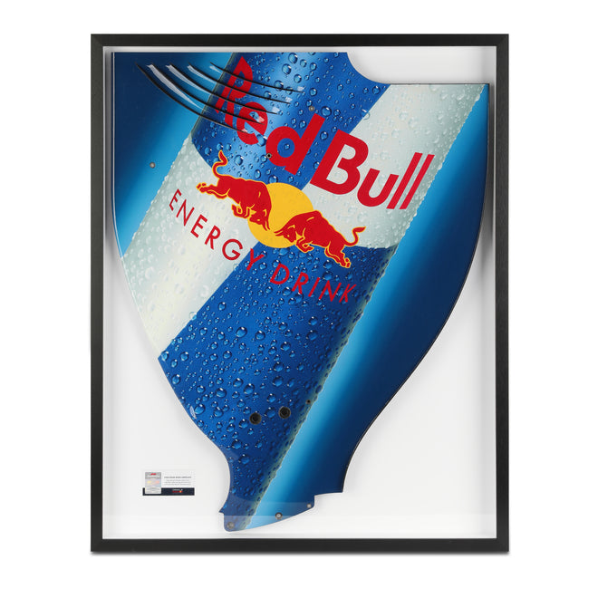 Red Bull Racing 2009 Grand Prix Used RB5 Lefthand Rear Wing Endplate - Red Bull Branding