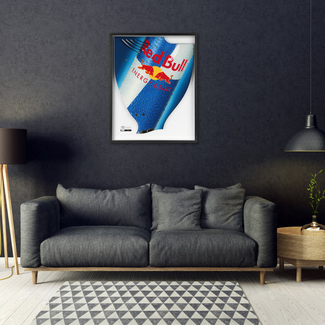 Red Bull Racing 2009 Grand Prix Used RB5 Lefthand Rear Wing Endplate - Red Bull Branding