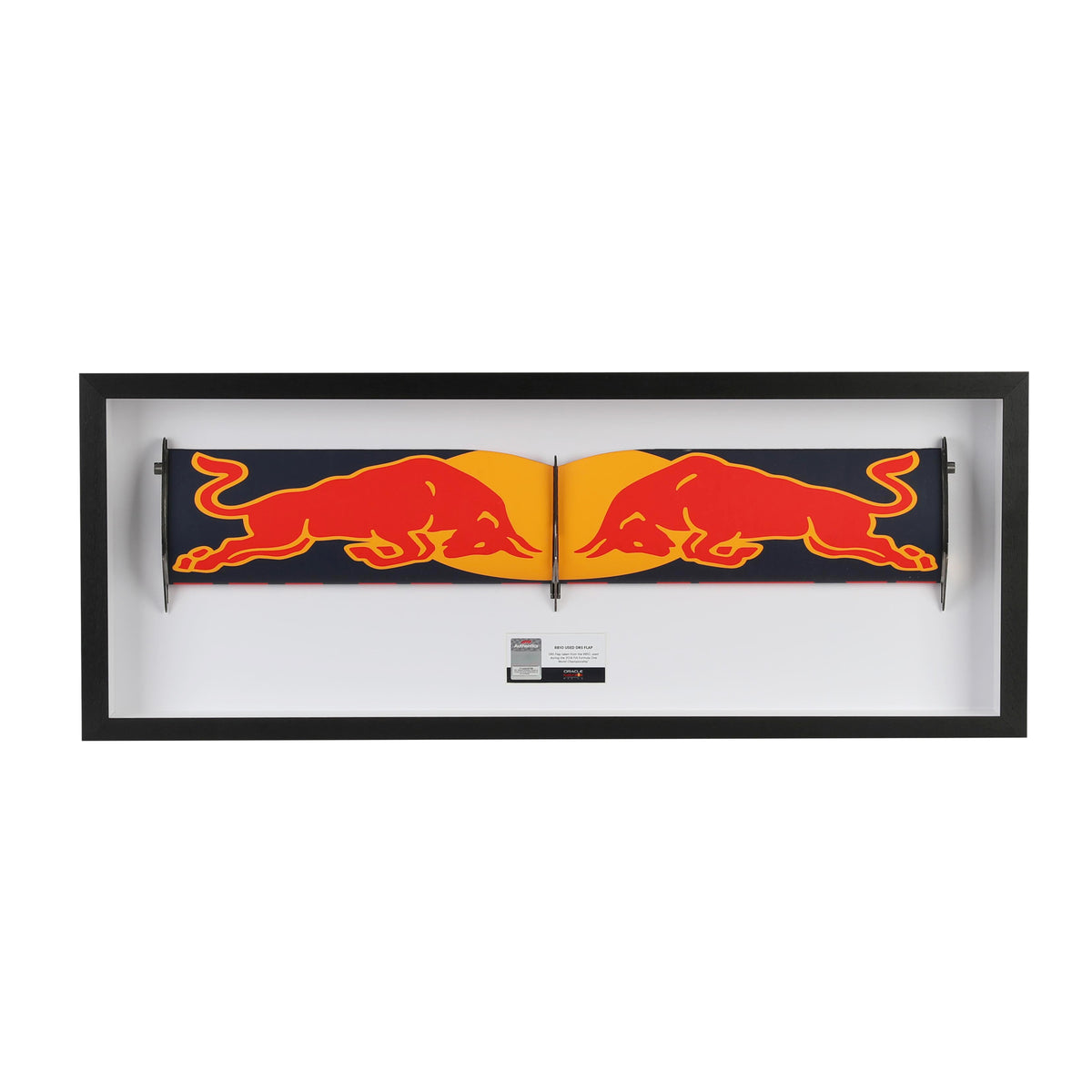 Red Bull Racing Grand Prix Used DRS Flap