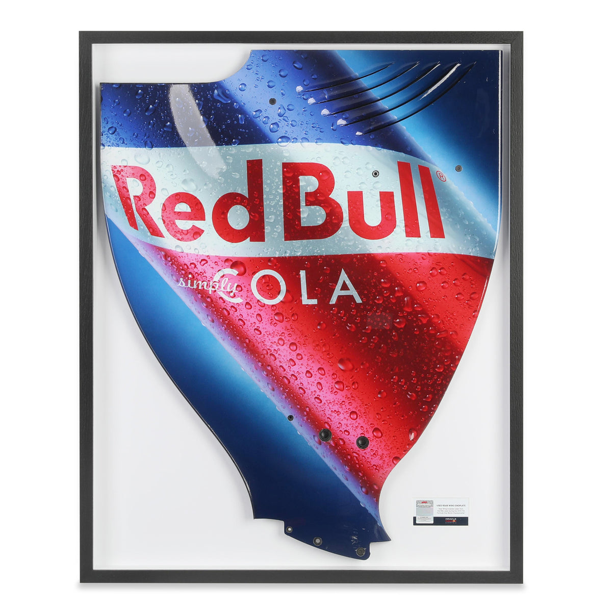 LOT 705 - Red Bull Racing RB6 2010 Framed Season Used Right Hand Rear ...