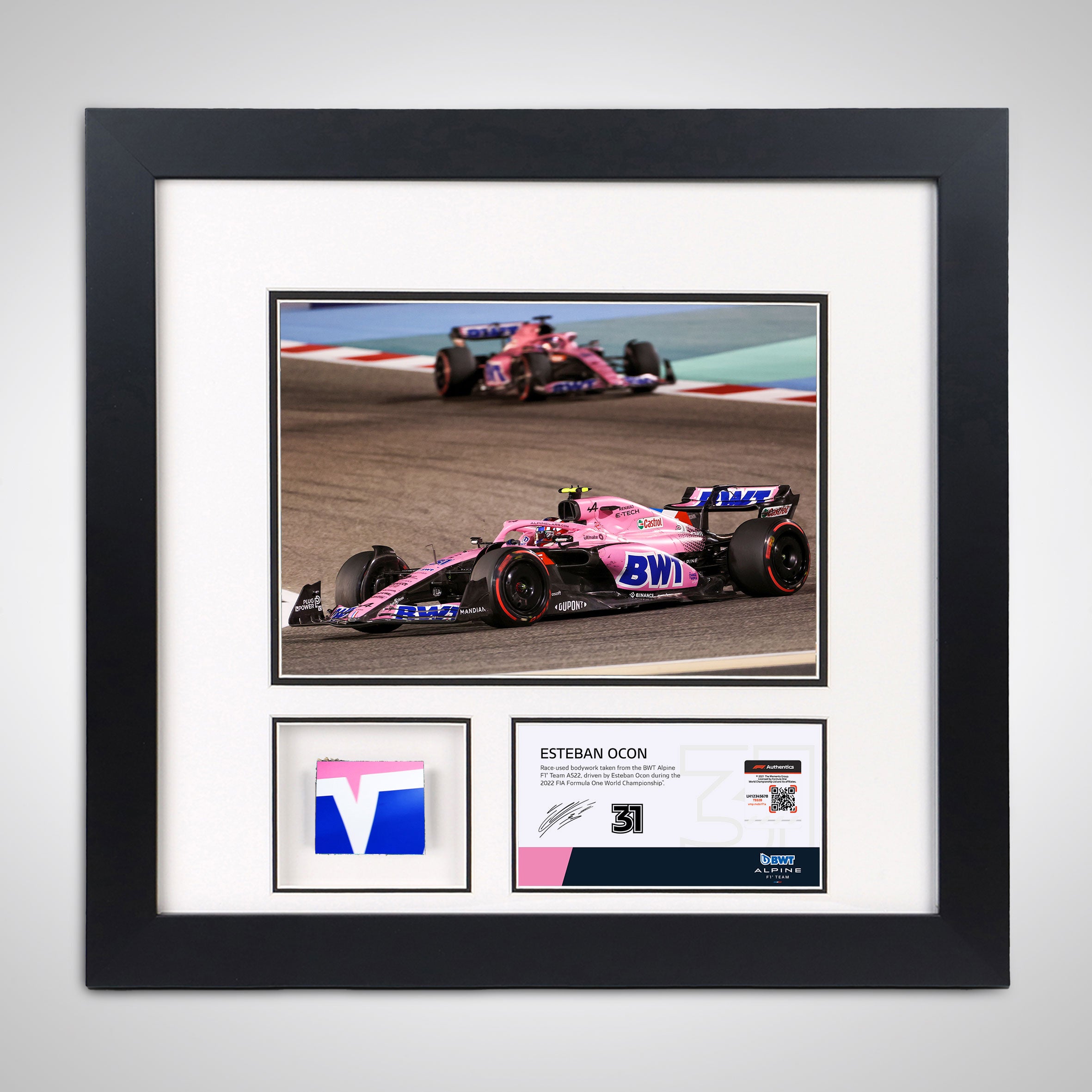 Esteban Ocon 2022 Bodywork & Photo - Bahrain GP